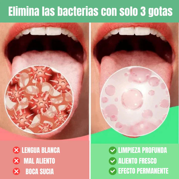 Encabezado