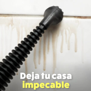 Encabezado