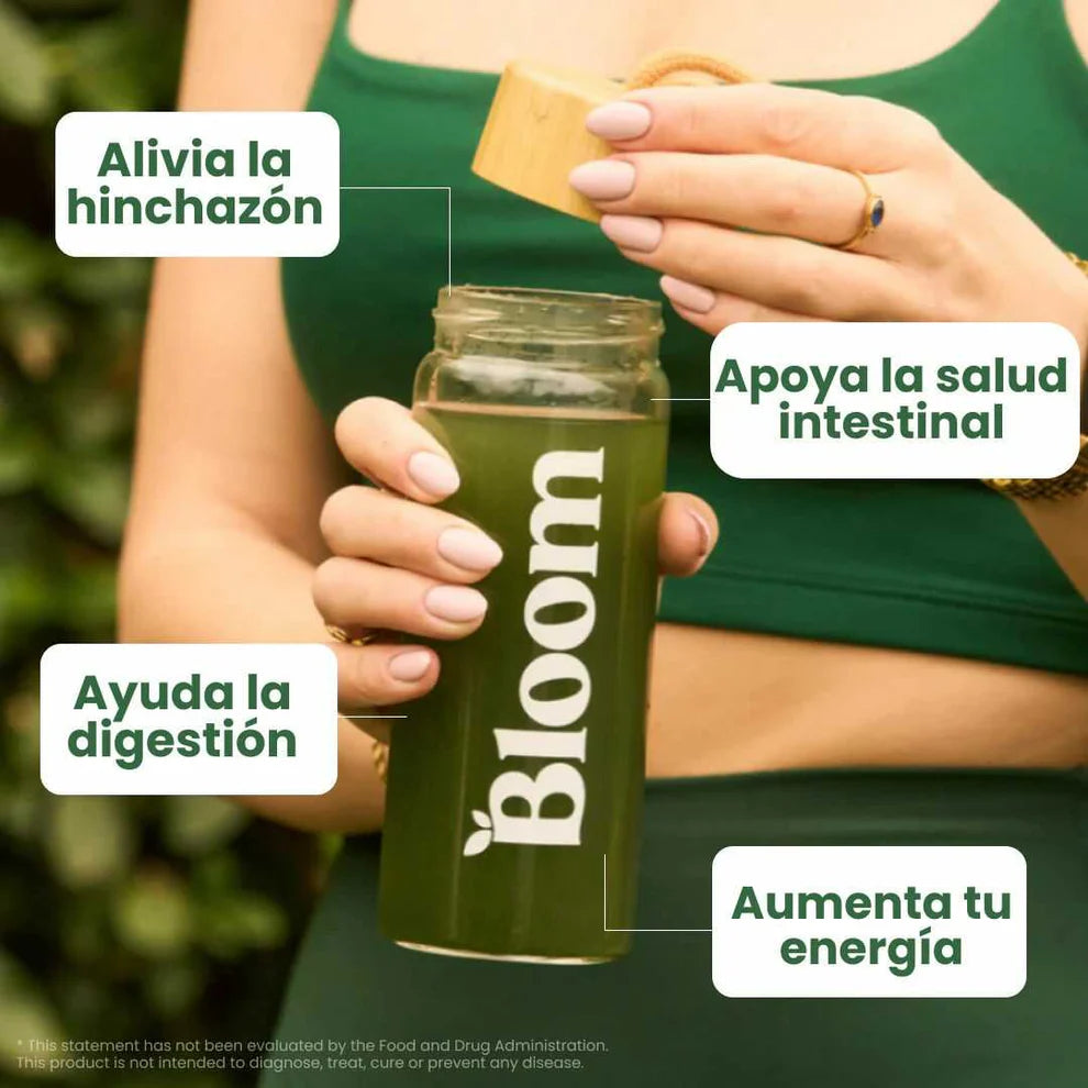Encabezado