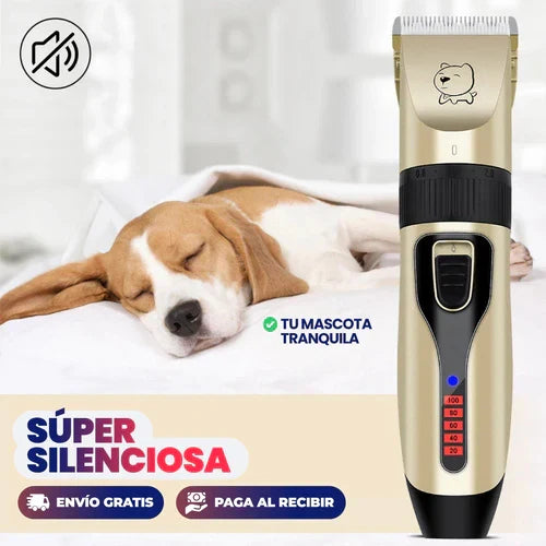 Encabezado