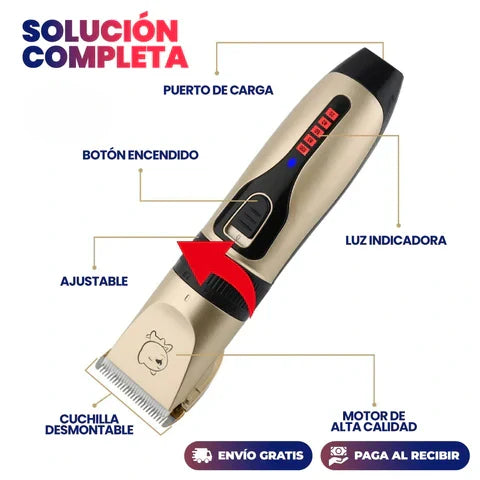 Encabezado
