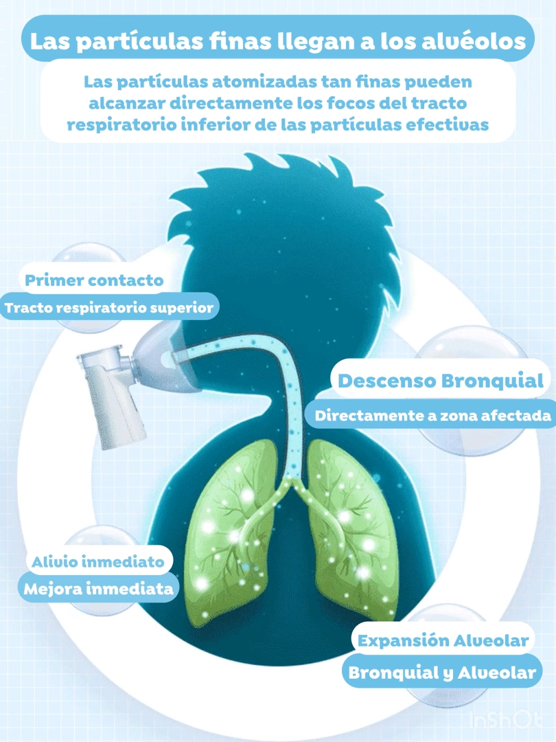 Encabezado